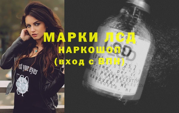 дживик Осташков