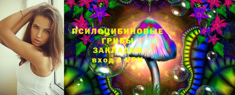 Галлюциногенные грибы Cubensis  мориарти как зайти  Уяр 